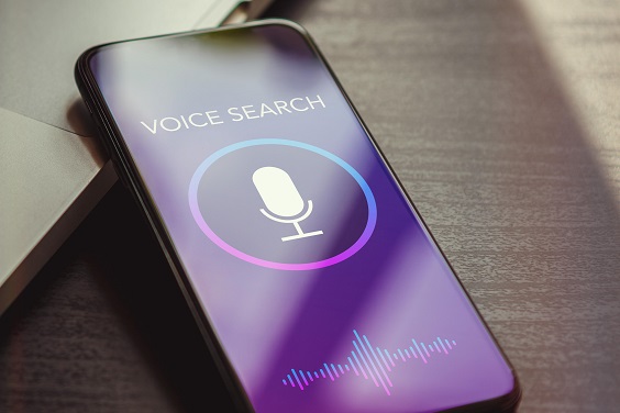 Seo Voice Search - Seo ricerca vocale